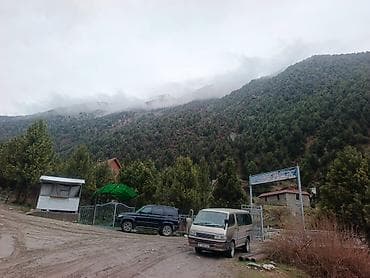 мицубиси спец стар: Toyota Hiace: 1996 г., 3 л, Ручные, Дизель, Минивэн — 1