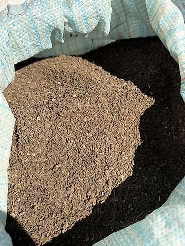 перец комнатный: Удобрение Гумус — 2