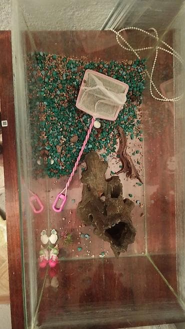 Аквариум из прозрачного стекла с комплектом аксессуаров