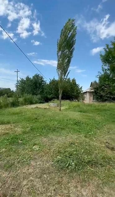 15 соток, Для строительства, Красная книга, Договор купли-продажи — 2