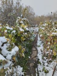 купить домашний телефон: Үй, 100 кв. м, 6 бөлмө, Менчик ээси — 4