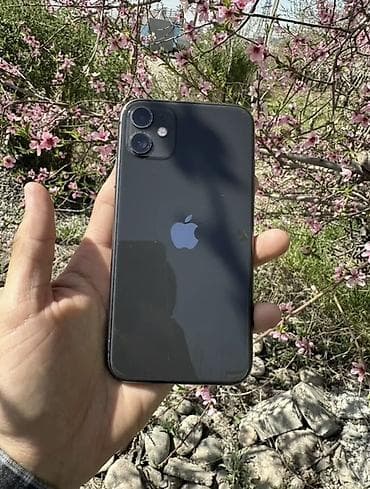 ipone 16: IPhone 11, Б/у, 64 ГБ, Черный, Чехол, 75 % — 2