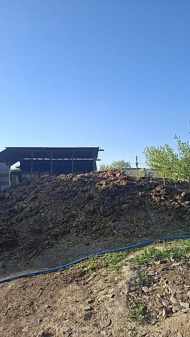 утеря находки: Отдам даром.Адрес:Село Ак-Жол,улица абдыкайым18 — 2