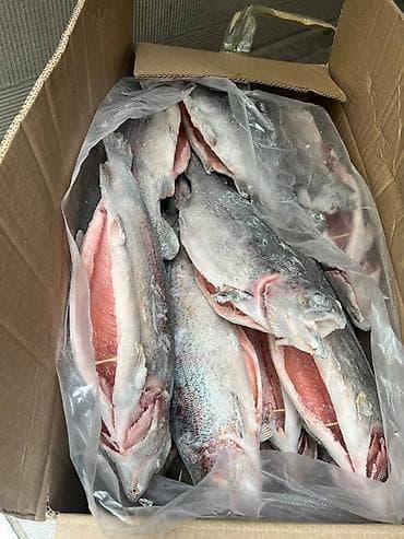 рыбное: Замороженная форель, потрошённая. Характеристики: - Вид: форель — 3