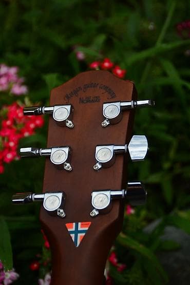 gitara lakewood: Цена -7500 Продаю акустическую гитару Morgan Б-у Покупали полтора года — 7