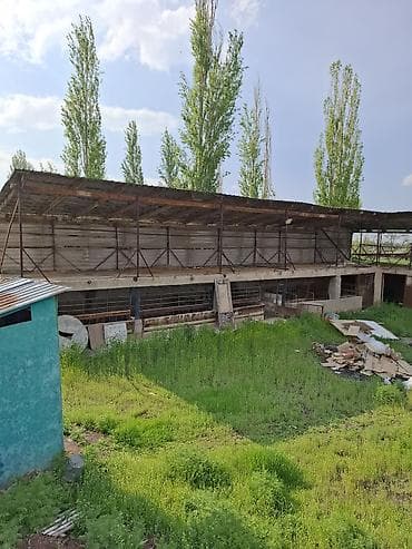 Ферма КРС, 4 соток, Не действующий, Без оборудования, Без коммуникаций