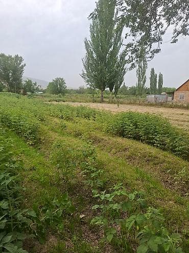 удобрение для малины: Продается малинник с плодородной почвой. Идеально подходит для — 7