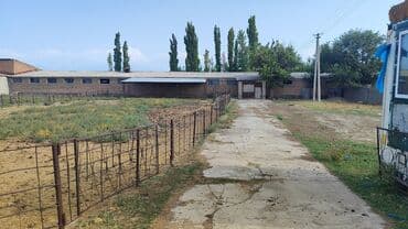 дома тюп: Продаю Кошара, 20 соток, Действующий, Без оборудования, Электричество, Скважина, Холодная вода — 1