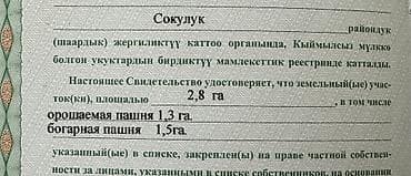 срочно сокулук: 28 соток, Для сельского хозяйства — 1