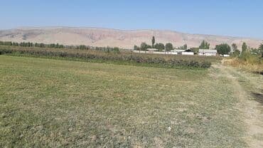 продаю дом алтын ордо новопавловка: 20 соток, Айыл чарба үчүн, Үлүштүк катыш келишими — 2