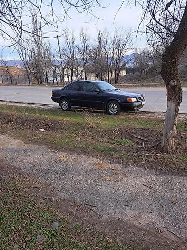 а 210: Audi 100: 1994 г., 2 л, Ручные, Бензин, Седан — 2