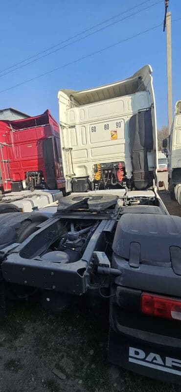 фиат добло: Тягач, DAF, 2019 г. — 4