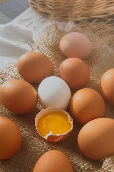 Продаю домашние яйца. куриные по 15 сом, утиные по 20 сом