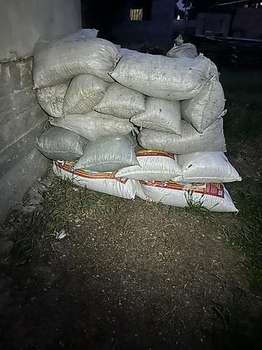 продам сейф: Голубиные какашки — 1