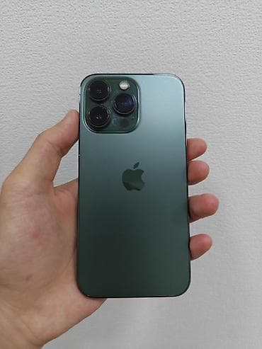 IPhone 13 Pro, Б/у, 256 ГБ, Alpine Green, Чехол, Кабель, 78 %