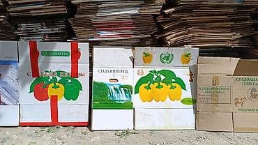 противень купить: Ящик — 1