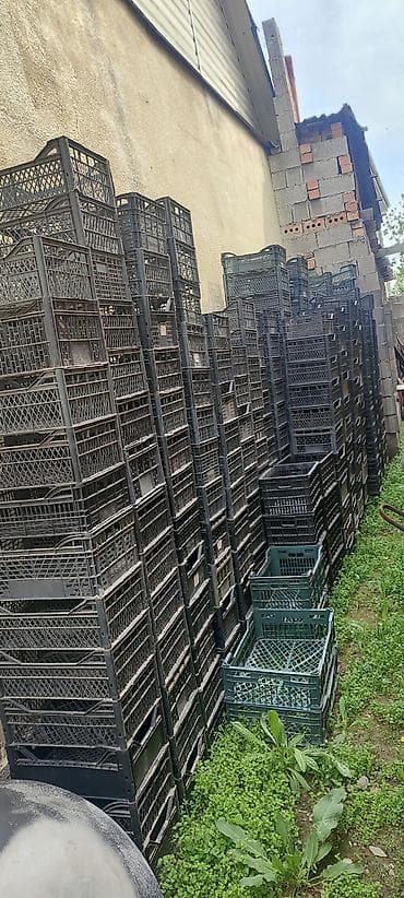 ящик пласмас: Пластиковый Ящик — 1