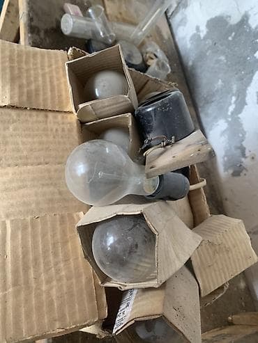 бесплатна: Лампочки накаливания в индивидуальных картонных футлярах. - Тип — 1