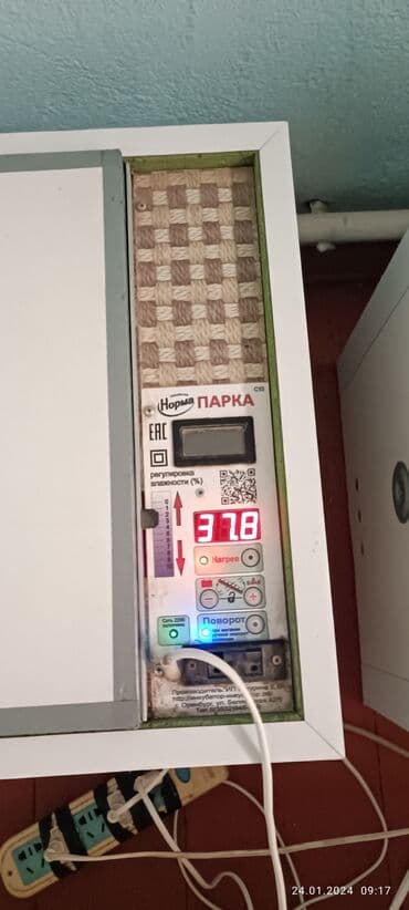 пивное оборудование бишкек: Инкубатор сатылат — 3