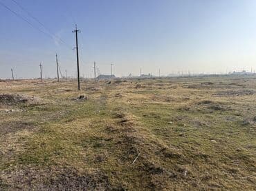 продаю участок на иссык куле село тамчы: 1500 соток, Для бизнеса, Красная книга — 13