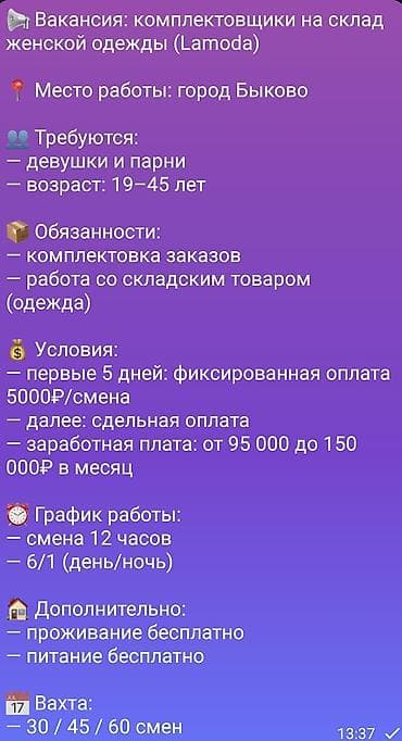 amir stroy: Кладовщик — 1