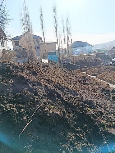 продам орехи: Плодородный грунт (чернозём/садовая земля)Продам оптом есть около 8 — 1