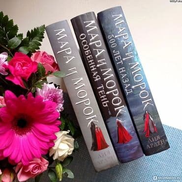 школа добра и зла: "книги Мара и Морок» — коктейль из темного фэнтези, young adult романа — 2