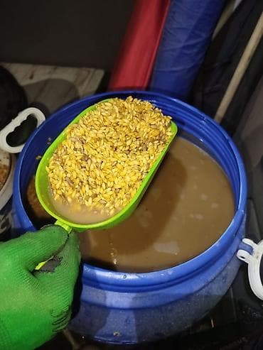 кел кел: Продаю прикормку,на сазана, на амура, и карпа, кислый ячмень Звонить — 2