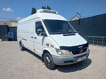 медик: Рефрижераторные перевозки на Mercedes-Benz Sprinter могу поехать хоть — 2