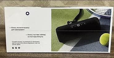 Динамики и колонки: Яндекс станция СТРИТ. Первая портативная колонка со встроенным — 2