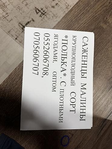 мешки оптом: Саженцы малины, крупноплодный сорт «Полька». Ягоды плотные. Возможна — 1