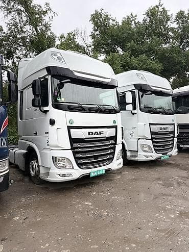 814 d: Тягач, DAF, 2019 г., Без прицепа — 2