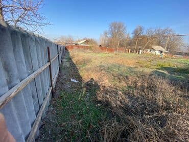 село восток дом: 17 соток, Для бизнеса, Красная книга — 12