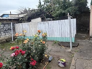 каретный двор: Дом с хозпостройками и большим двором - Отдельно стоящий одноэтажный — 7