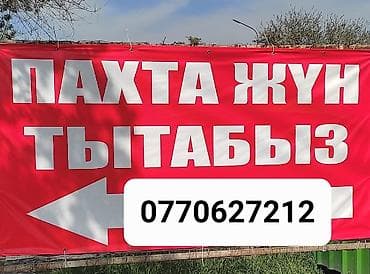 Пахта Кебез Вата ЖУН шерст ТЫТАБЫЗ. расчёска ваты и шерсти. эски