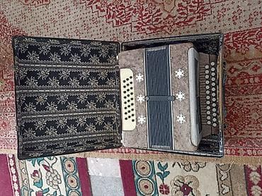 ля бубу: Баян с кейсом - Кнопочный баян в комплекте с жёстким кофром. - Корпус — 2