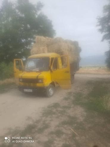 авто грузовые: Легкий грузовик, Mercedes-Benz, Стандарт — 6