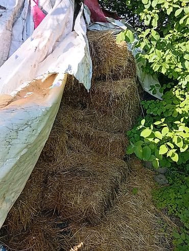 Корма для с/х животных: Тюки соломы (прямоугольные) для строительства - Сложены в штабель и — 1