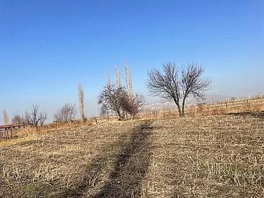 8 соток, Для строительства, Красная книга at lalafo.kg 8 соток, Для строительства, Красная книга