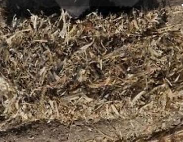 Мака пая пресс сатылат 150 сомдон 150 шт