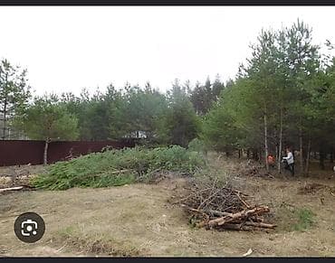 услуги профессиональной уборки: Уборка территории, Уборка двора и сада — 3