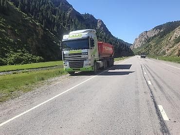 daf 95: Тягач, DAF, Самосвал — 2