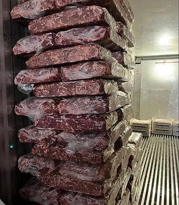 лекарство для животных: Фарш говядина для собак и кошек свежий без запаха и мелких костей — 1