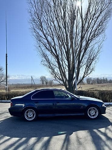bmw e43: BMW 5 series: 2002 г., 3 л, Автомат, Бензин, Седан — 3