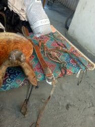 Рыбы: Срочно — 9