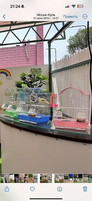 Клетки для декоративных птиц! Подходят для содержания одной или пары at lalafo.kg Клетки для декоративных птиц! Подходят для содержания одной или пары