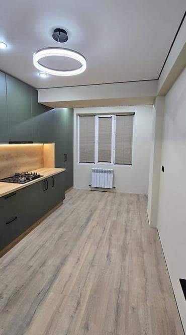 боталиева: 1 комната, 38 м², Индивидуалка, 1 этаж, Евроремонт — 1