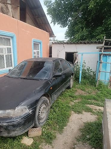 mini vci: Honda Accord: 1994 г., Механика, Седан — 2
