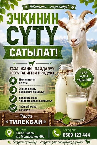 токмок клубника: Козье молоко от хозяйства «Тилекбай» - 100% натуральный продукт — 1