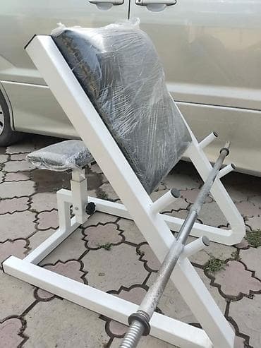 скамья скотта: Скамья Парта Скотта для бицепса 🔥 БЕСПЛАТНАЯ ДОСТАВКА ✅ ▫️-Отличный — 3